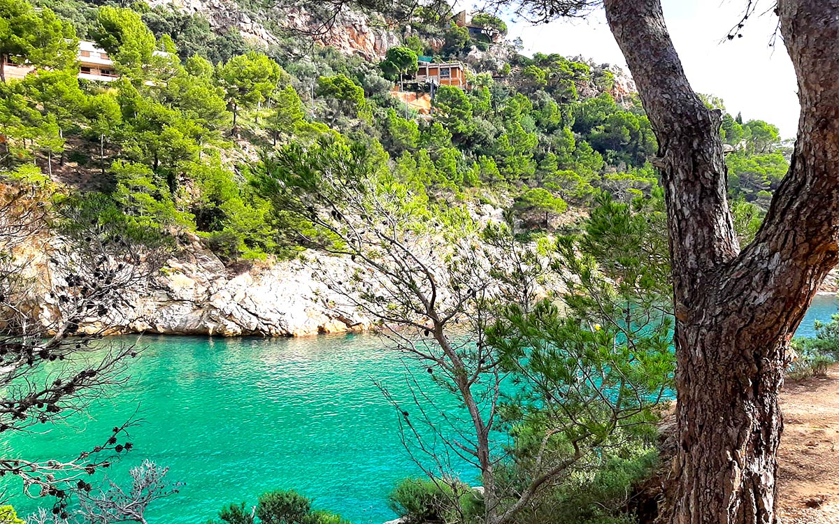 CALA BONA